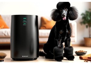 AllergyFriendly Air Purifier Features For Poodle Shedding