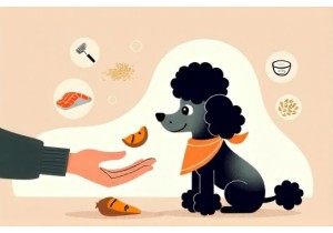 TeddyBearCare Socialization Guide Using TrainingTips