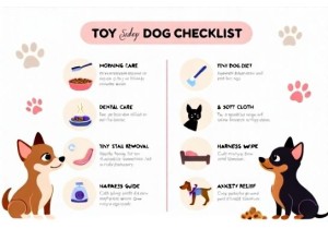 Smalldogcare Checklist: Morning & Night Routines