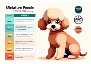 MiniatureHealth Vaccination Timeline Updated For Current ...