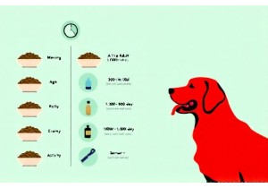 Feeding Schedule for Active Working or Senior Golden Retr...