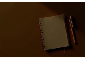 Golden Retriever Care Essentials From Puppy to Senior Years