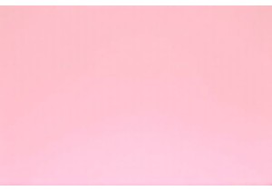 Working Dog Care Essentials for Active Breeds Like Huskies