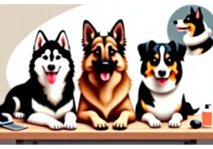 Grooming Guide: Dematting, Deshedding & Skin Health