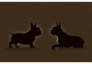 Brachycephalic Tips to Keep Your Bulldog Cool Calm and Co...