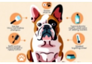 English Bulldog Health Checklist for Skin Folds, Breathin...