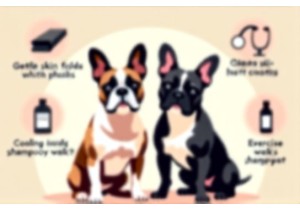 Brachycephalic Tips Every Bulldog Owner Needs